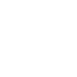 Custom Consumable