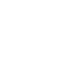 Custom Structure