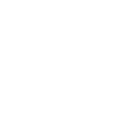 Custom Survivor Helmet