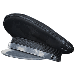 Cyclist Hat Skin