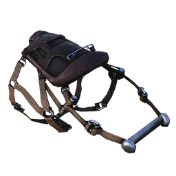 Dakosaurus Saddle