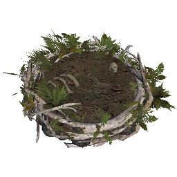 Deinonychus Nest