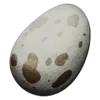 Dodo Egg