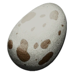 Fertilized Aberrant Dodo Egg