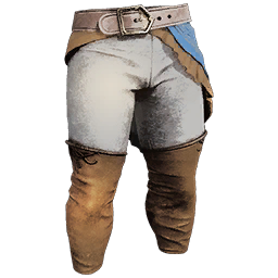 Fancy Pirate Pants Skin