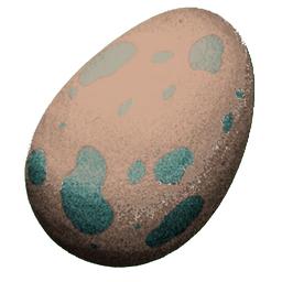 Fasolasuchus Egg