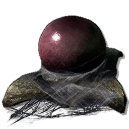 Fertilized Aberrant Pulminoscorpius Egg