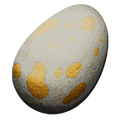 Fertilized Archaeopteryx Egg