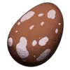 Fertilized Baryonyx Egg