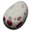 Fertilized Dilo Egg