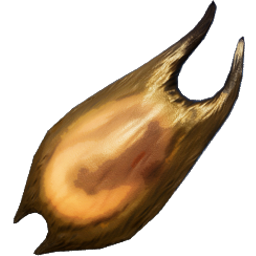 Helicoprion Egg