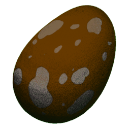 Fertilized Morellatops Egg
