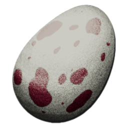 Fertilized R-Dilo Egg