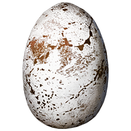 Fjordhawk Egg