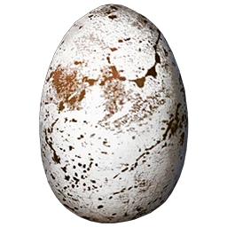 Fertilized Fjordhawk Egg