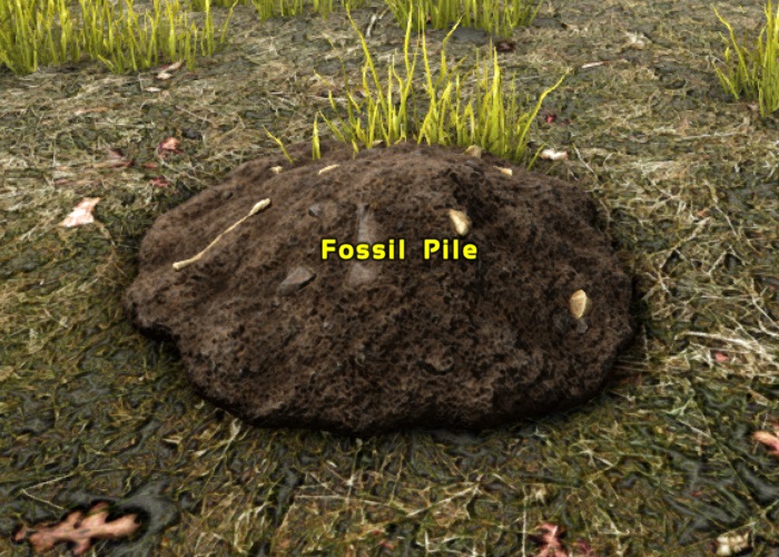 Fossil Pile