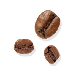 Fresh Coffee Fruit (Primitive Plus)