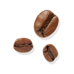 Fresh Coffee Fruit