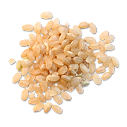 Fresh Rice (Primitive Plus)