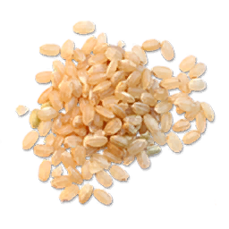 Fresh Rice