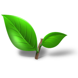 Fresh Tea Leaves (Primitive Plus)