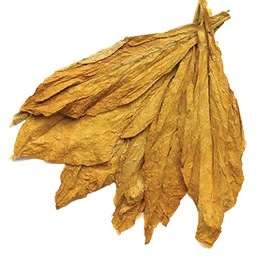 Fresh Tobacco