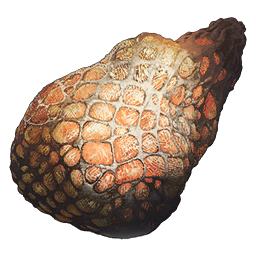 Gigadesmodus Egg Sac