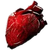 Giganotosaurus Heart