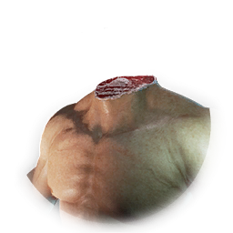 Headless Costume Skin