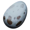 Hesperornis Egg