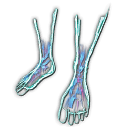 HomoDeus Boots Skin