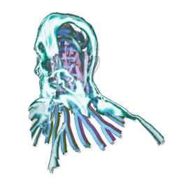 HomoDeus Helmet Skin