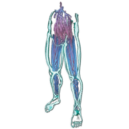HomoDeus Pants Skin