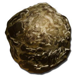 Human Feces