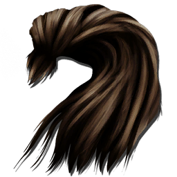 Human Hair