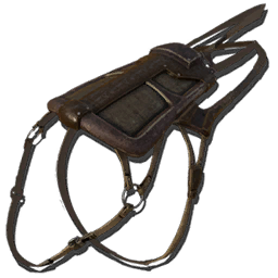 Ichthyosaurus Saddle