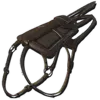 Ichthyosaurus Saddle