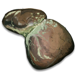 Infected Liver