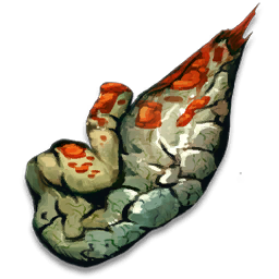 Infected Stomach