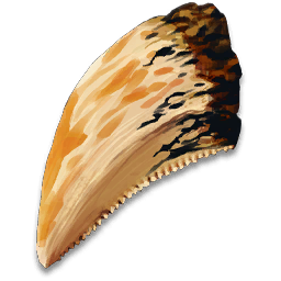 Infected Tooth