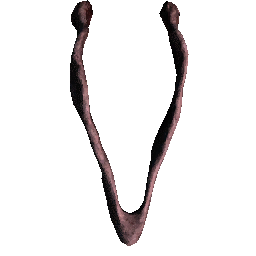 Jaw