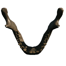 Jawbone
