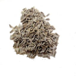 Lettuce Seed (Primitive Plus)