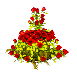 Lovely Spicy Rose Bush