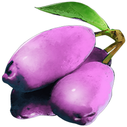 Magenberry