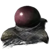 Mantis Egg