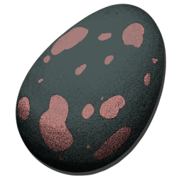 Megachelon Egg