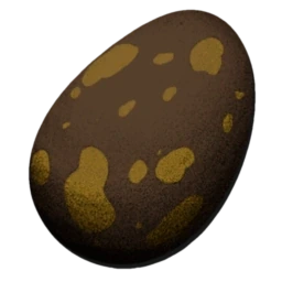 Fertilized Megalania Egg