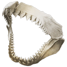 Megalodon Jaws Fishing Trophy