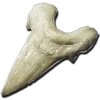 Megalodon Tooth